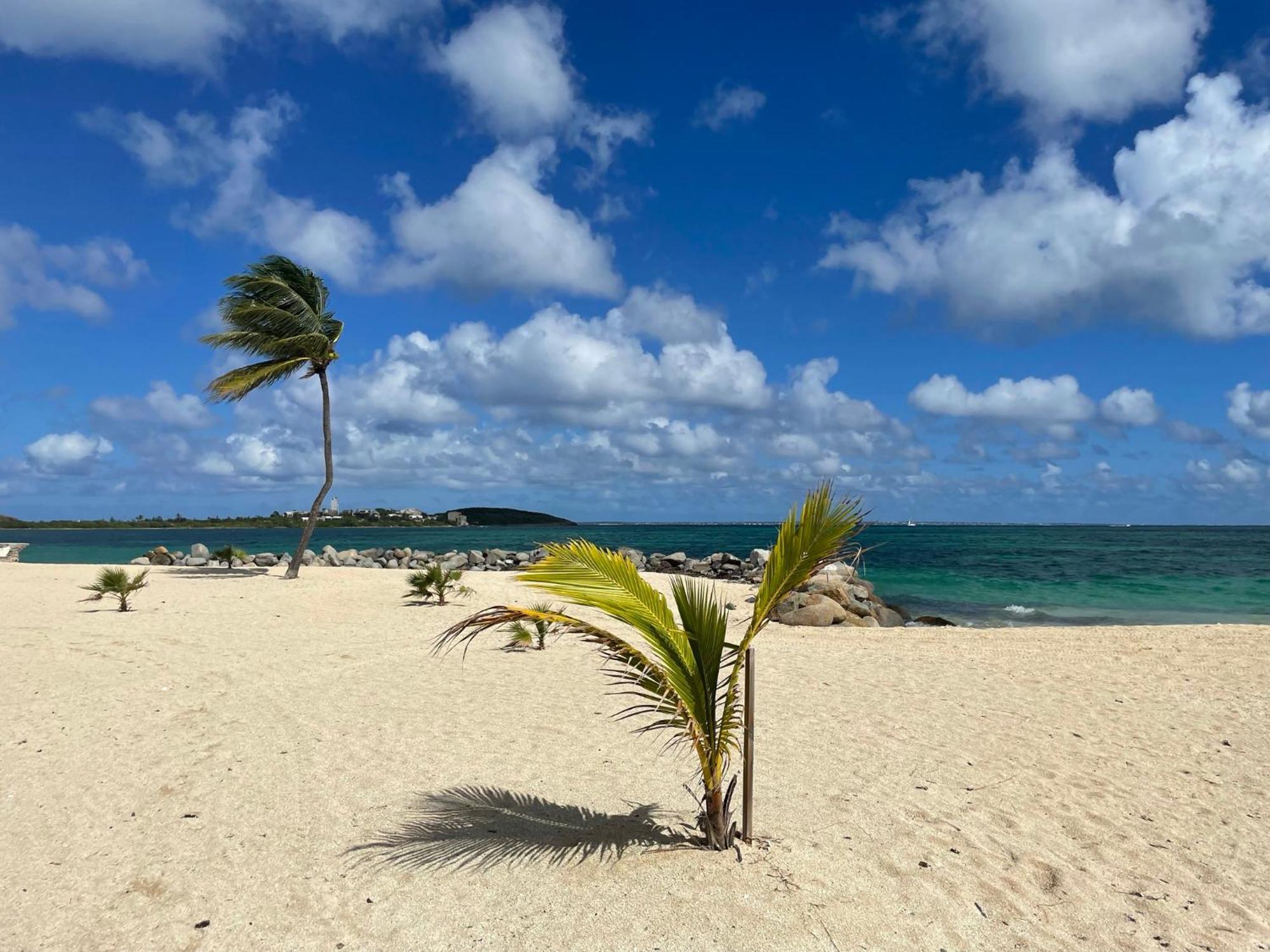 Shell Beach - Magnifique Loft Sur La Plage Baie Nettle Exterior photo